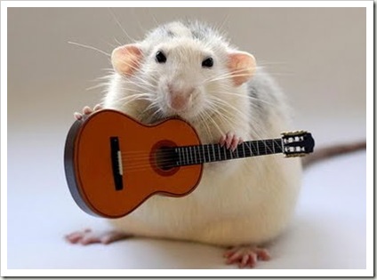 Musical mouse