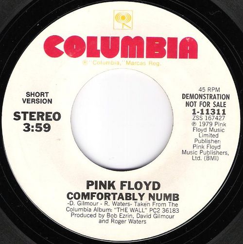 COMFORTABLY NUMB – ACCORDI – PINK FLOYD