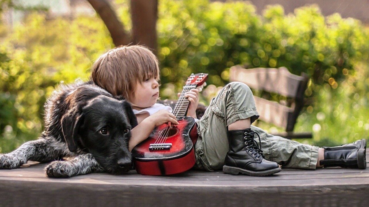 5 CANZONI FACILI SULLA CHITARRA!