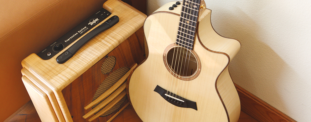 amp-acustica2