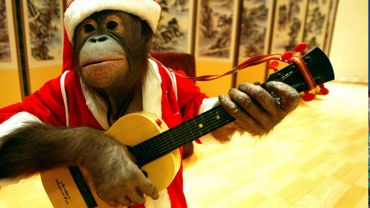 christmas-guitar-essex