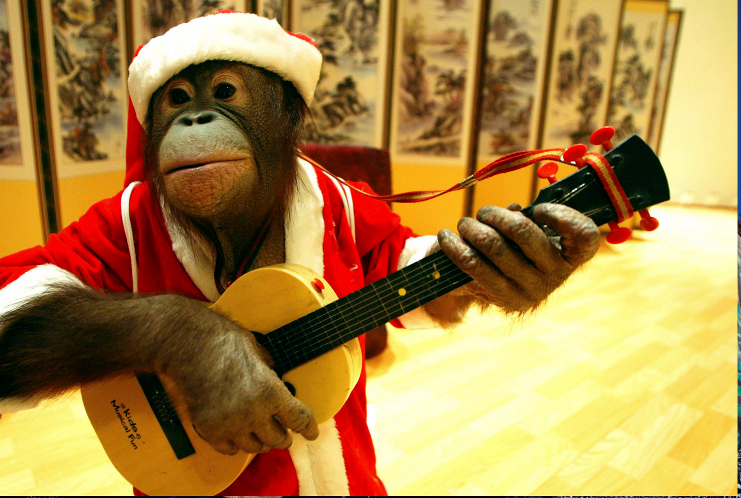 5 IDEE REGALO PER CHITARRISTI