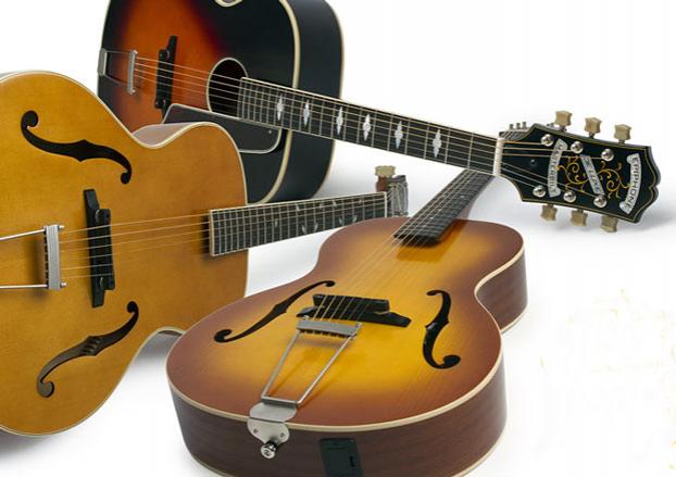 epiphone621