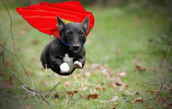supercane