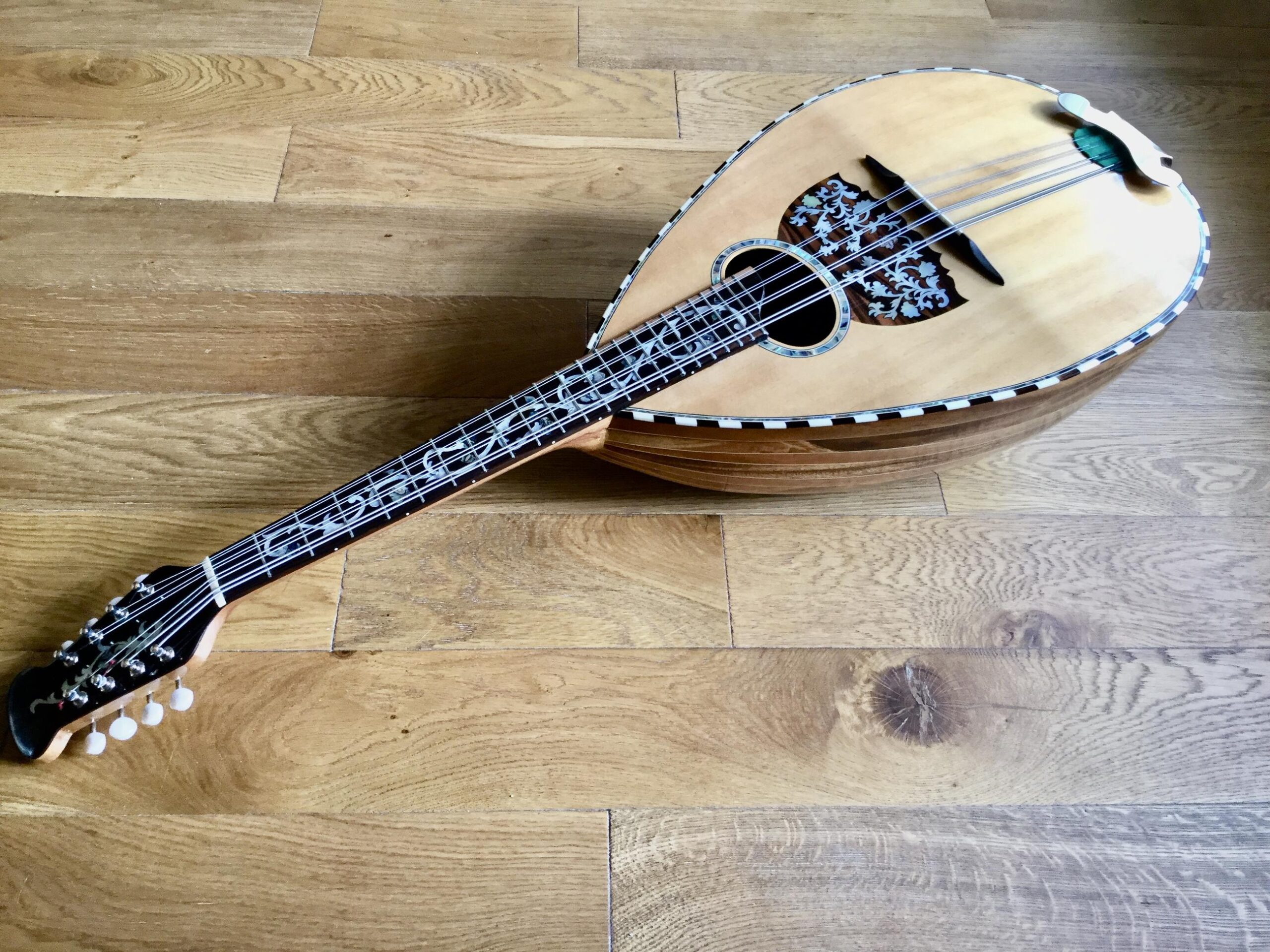 Mandoloncello